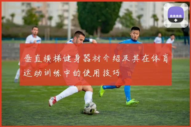 垂直横梯健身器材介绍及其在体育运动训练中的使用技巧