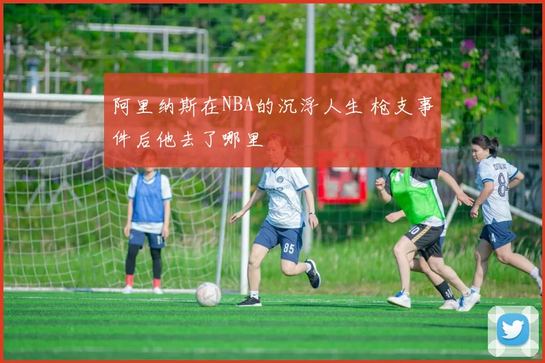 阿里纳斯在NBA的沉浮人生 枪支事件后他去了哪里