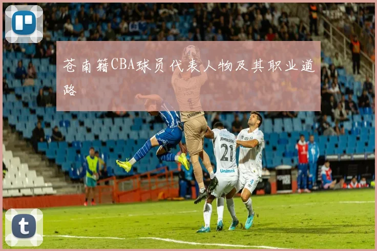 苍南籍CBA球员代表人物及其职业道路